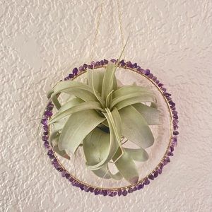 Amethyst Air Planter